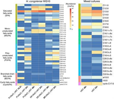 Salinity and hydraulic retention time induce membrane phospholipid acyl chain remodeling in Halanaerobium congolense WG10 and mixed cultures from hydraulically fractured shale wells